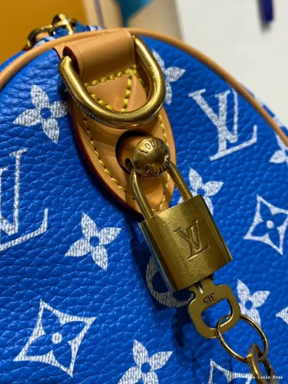 Fake Louis Bags Louis 25 Vuitton SPEEDY 0604